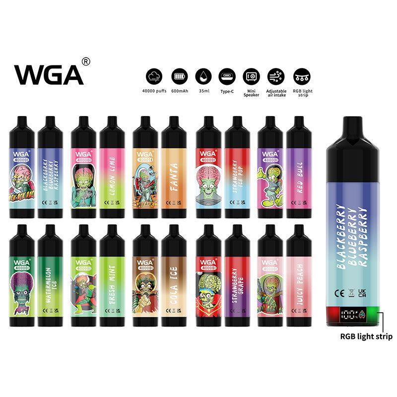 WGA 40k Puffs Disposable Vape Wholesale Rechargeable High Capacity Bold  Fruity Flavors 2 Percent 5 Percent Nicotine - VAPE HK SHOP